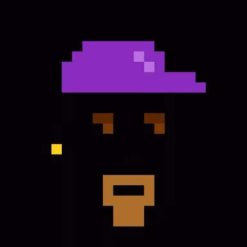 No-Punks No-Punk #6397