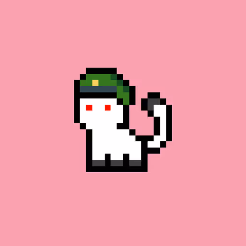 pix cats pix cats #1184