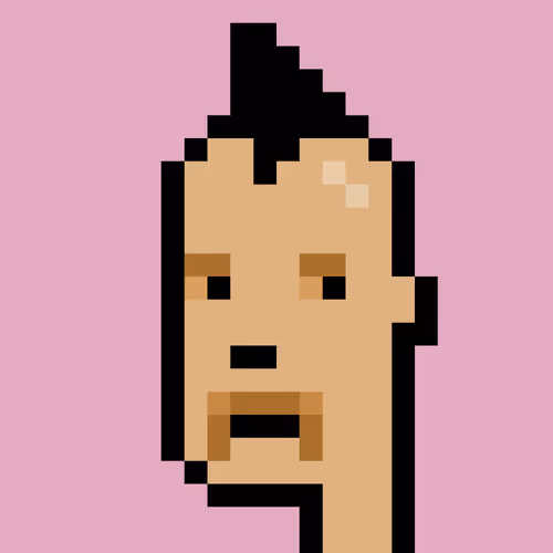 BryptoPunks BryptoPunk #293