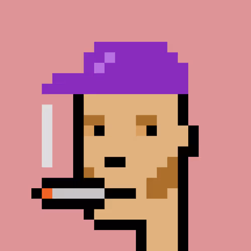 BryptoPunks BryptoPunk #897